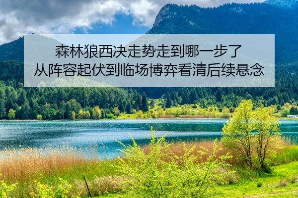 森林狼西决走势走到哪一步了 从阵容起伏到临场博弈看清后续悬念
